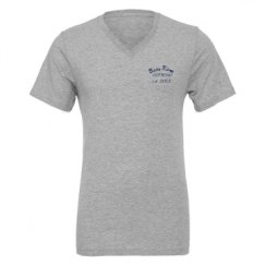 Unisex CVC Jersey V-Neck T-Shirt