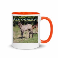 11oz Ceramic Mug with Color Inside