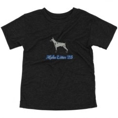 Toddler Triblend Tee