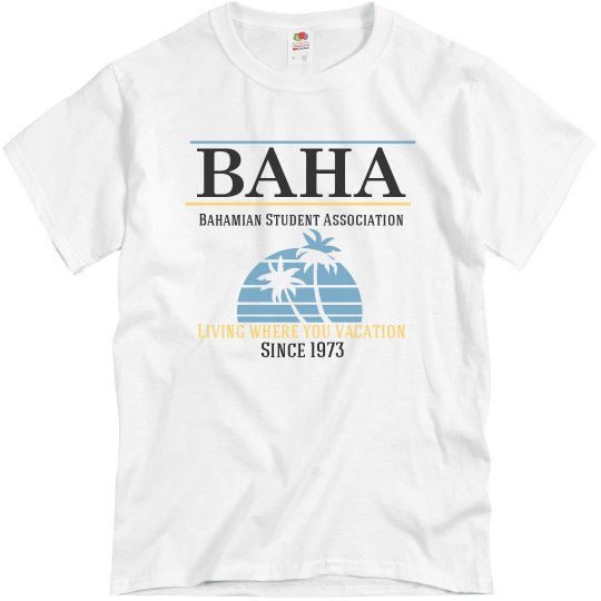 BAHA design 1
