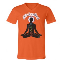 Unisex V-Neck Jersey Tee