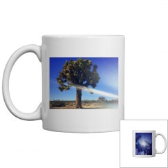 Joshua tree & Palm tree