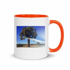 11oz Ceramic Mug with Color Inside