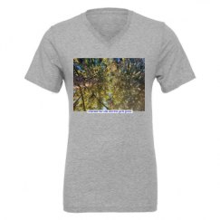 Unisex CVC Jersey V-Neck T-Shirt