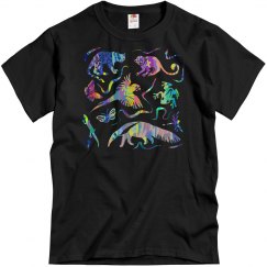 Amazon Rainforest Amazon Rainforest Animals and Jungle 