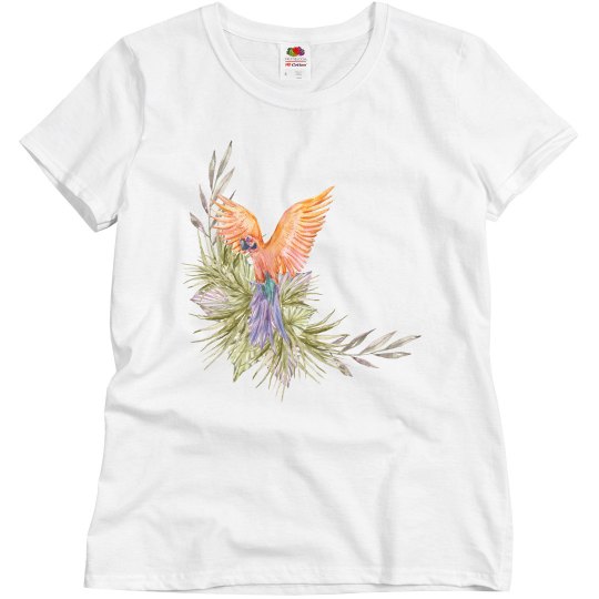 beautiful parrot beautiful parrot