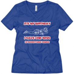 Ladies Relaxed Fit V-Neck Tee