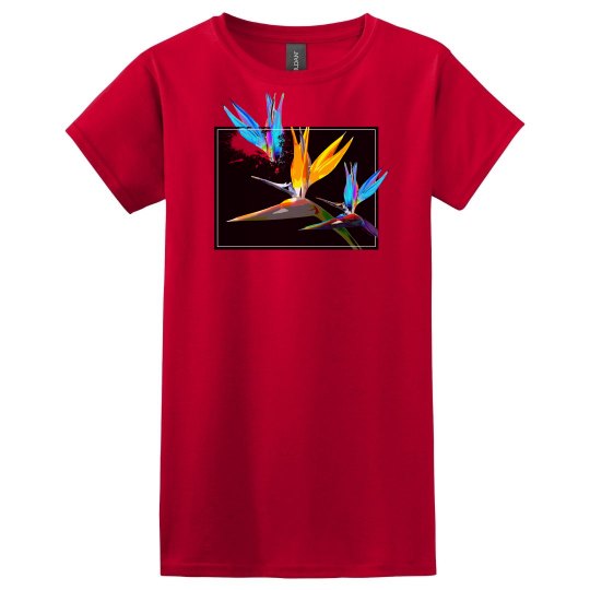 Bird of Paradise Flower Bird of Paradise Flower