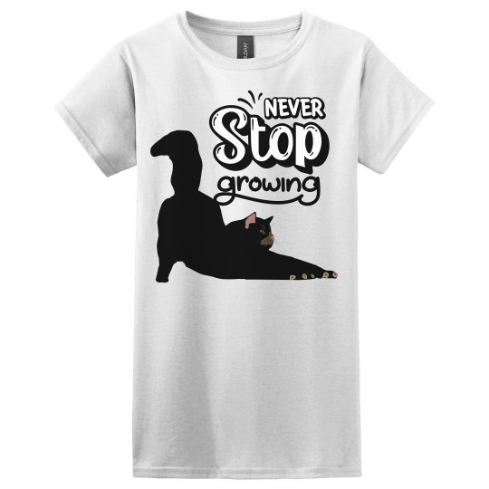 Black Maine Coon Cat Black Maine Coon Cat