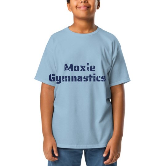 Boys flip shirt