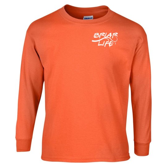 Briar Life Big Buck Hunter