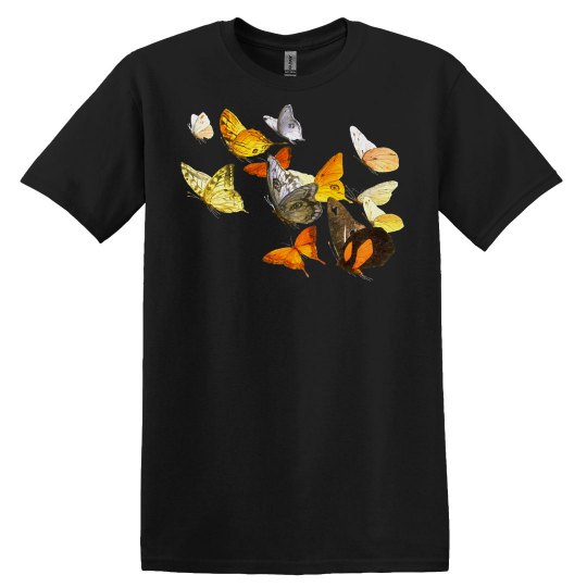 Butterflies Butterflies in Flight Butterflies Butterflies in Flight