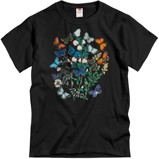 Butterflies Plants and butterflies