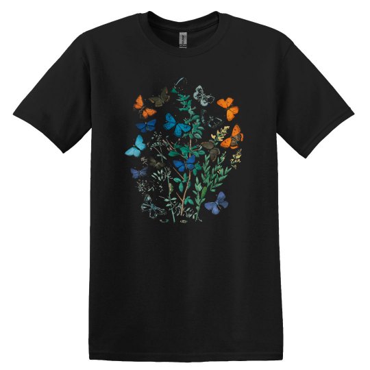 Butterflies Summer Butterflies