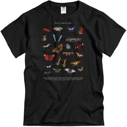 Butterflies Vintage Butterfly Chart