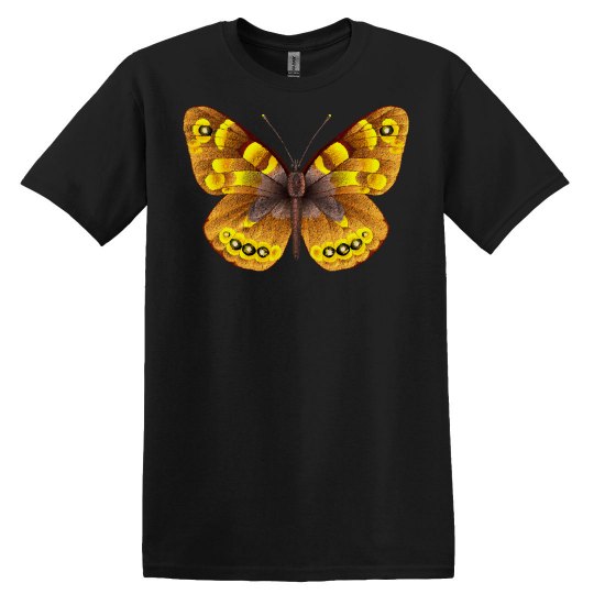 Butterfly Art Yellow butterfly Butterfly Art Yellow butterfly