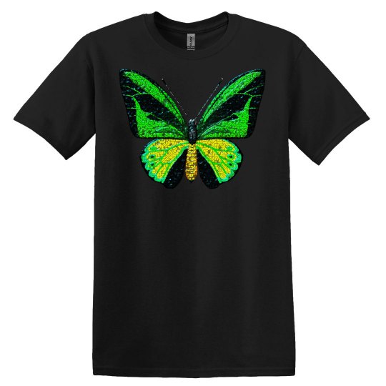 Butterfly Birdwing butterfly