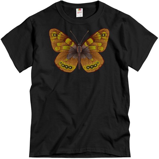 Butterfly Brown butterfly