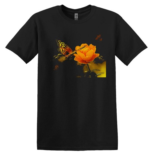 Butterfly Butterflies and a Flower Butterfly Butterflies and a Flower