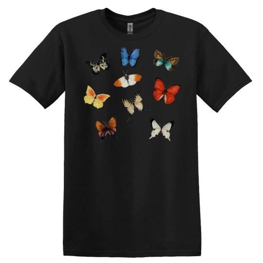 Butterfly Butterflies Pattern Butterflies of the world