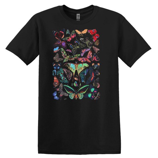 Butterfly Butterflies