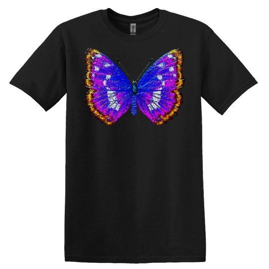 Butterfly Lover Tropical butterfly Butterfly Lover Tropical butterfly