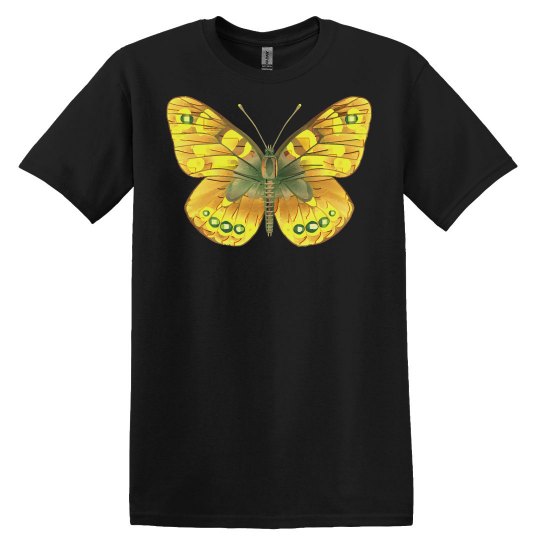 Butterfly Lover Yellow butterfly Butterfly Lover Yellow butterfly