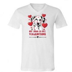 Unisex V-Neck Jersey Tee