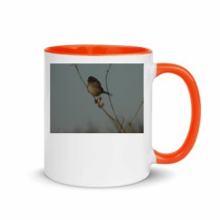 11oz Ceramic Mug with Color Inside