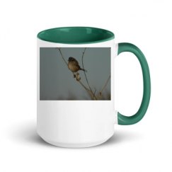 15oz Ceramic Mug with Color Inside