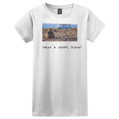 Ladies Basic Softstyle Tee