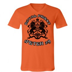 Unisex V-Neck Jersey Tee