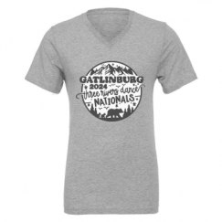 Unisex CVC Jersey V-Neck T-Shirt