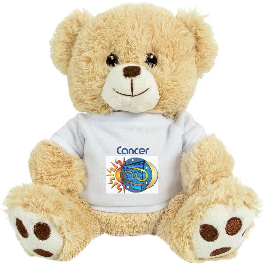 Cancer Teddy Bear