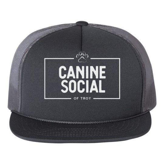 Canine social