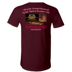 Unisex V-Neck Jersey Tee