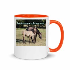 11oz Ceramic Mug with Color Inside