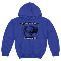 Youth bison hoodie