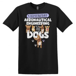 Aeronautical Engineering Aeronautical Engineering And D