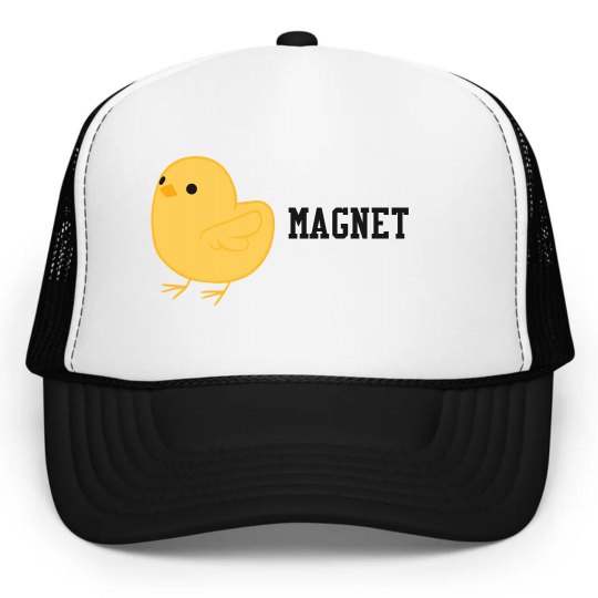 Chick Magnet