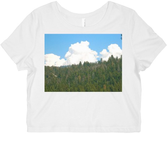 Cloud Forest Crop Top Cloud Forest Crop Top