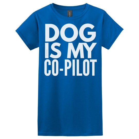 Co-Pilot