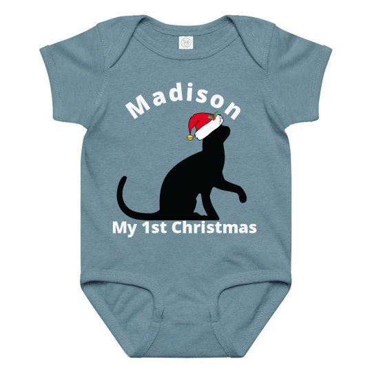 Cute Christmas Cat Santa