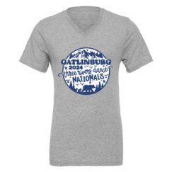 Unisex CVC Jersey V-Neck T-Shirt