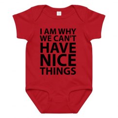 Why We Can't Have Nice Things