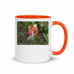 11oz Ceramic Mug with Color Inside