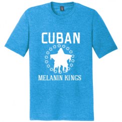 Unisex Perfect Tri Tee