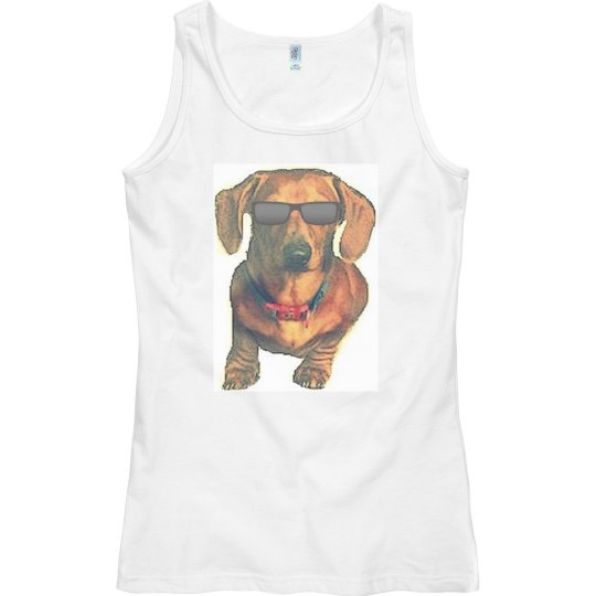 Dachshund COOL Dachshund COOL