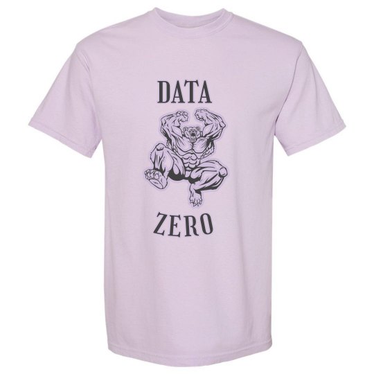 DATA ZERO BEAR