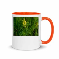 11oz Ceramic Mug with Color Inside